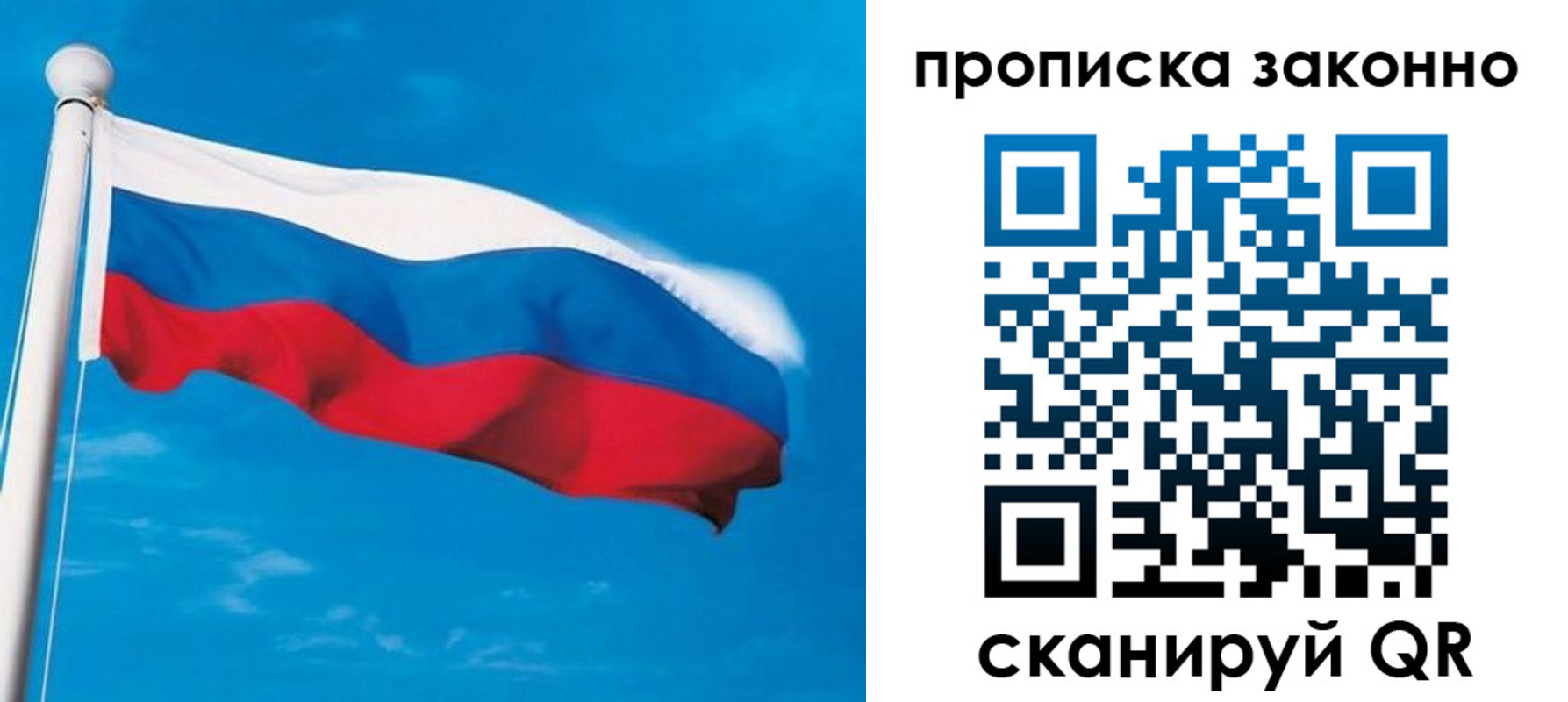 прописка гарантия в Вольске